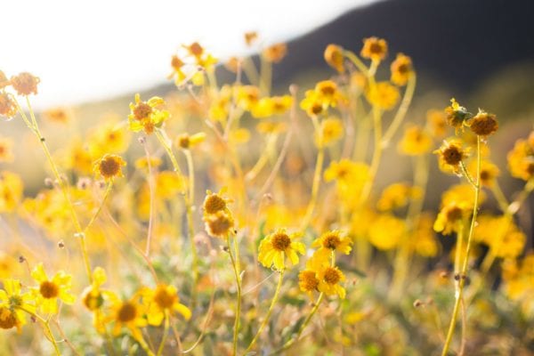 Isolation often drives people to other conditions, such as addiction or dependency