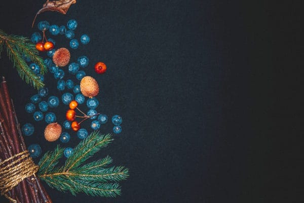 Some berries and greenery for Christmas