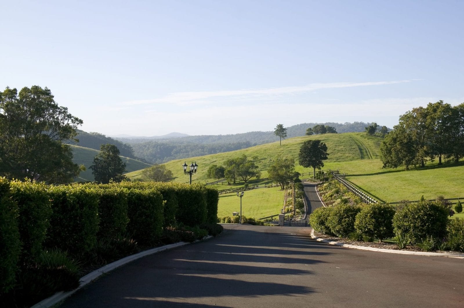 green grass hills with a road