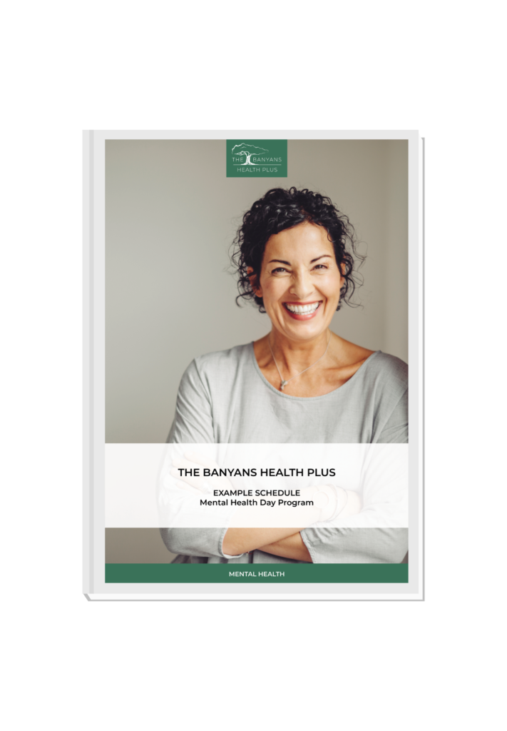 Example schedule of a mental health day program