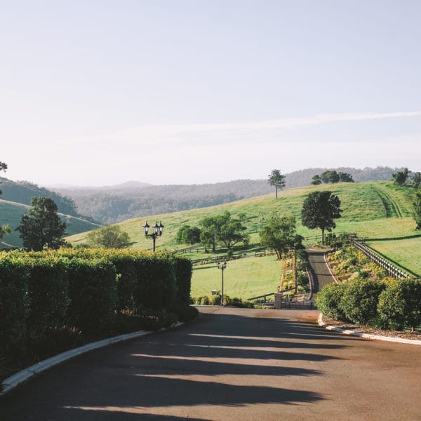 Refreshing view