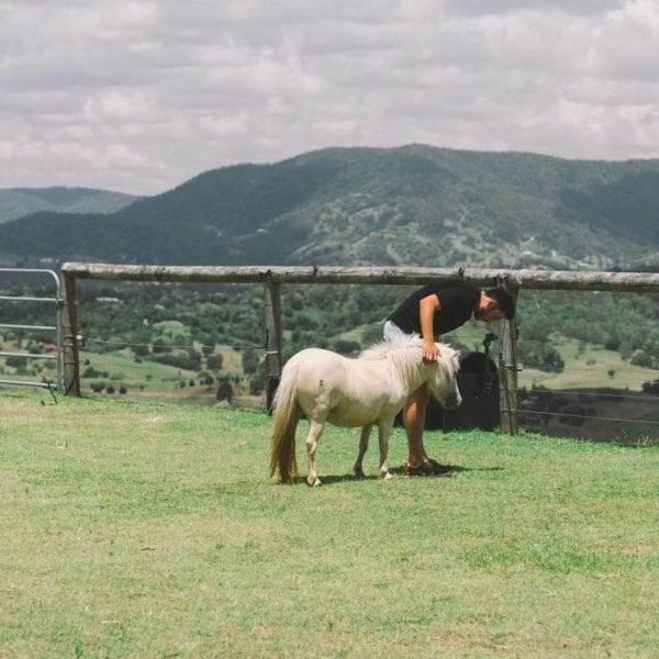 Man talks to horse in equine therapy at premium rehab