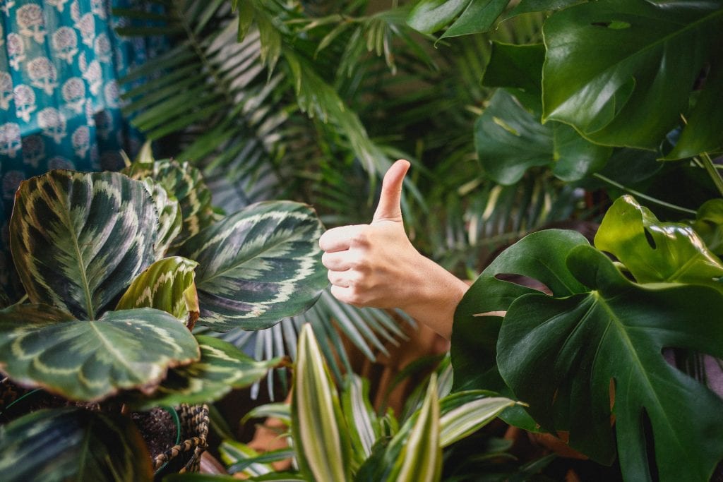 A photo of a thumbs up sign - encouragement can help someone with depression