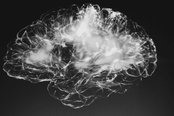 Brain