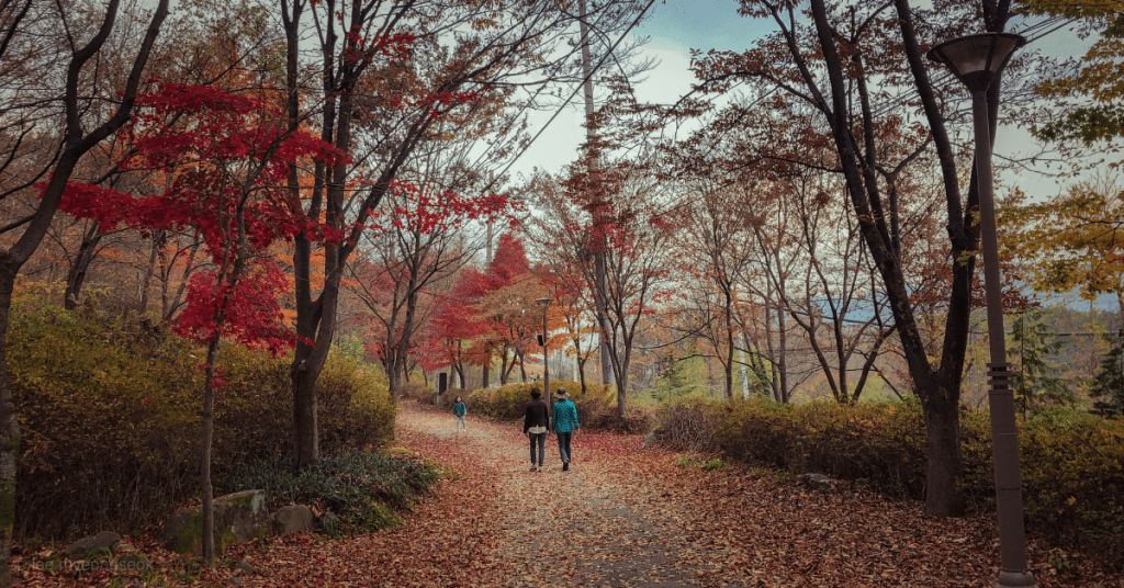 couple walking through nature
