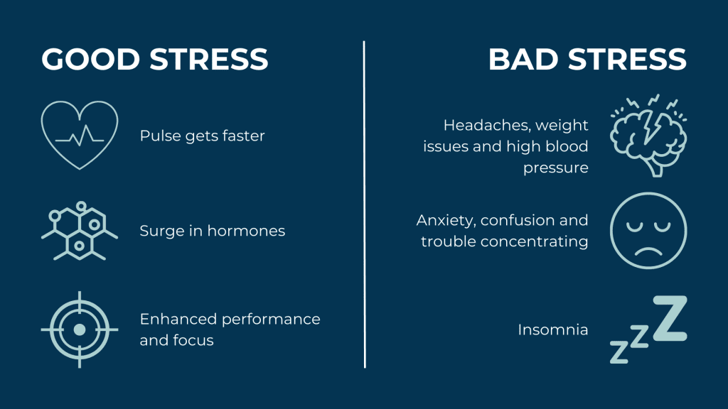 Infographic showing the different types of stress, good stress and bad stress.